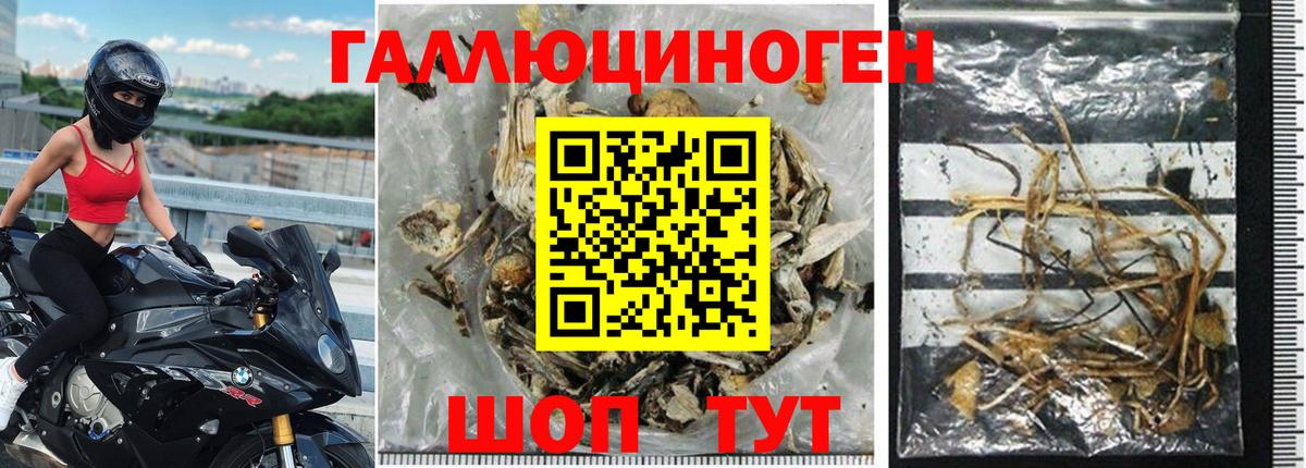 Ейск  где купить   Вход с VPN  Галлюциногенные грибы Psilocybine cubensis 