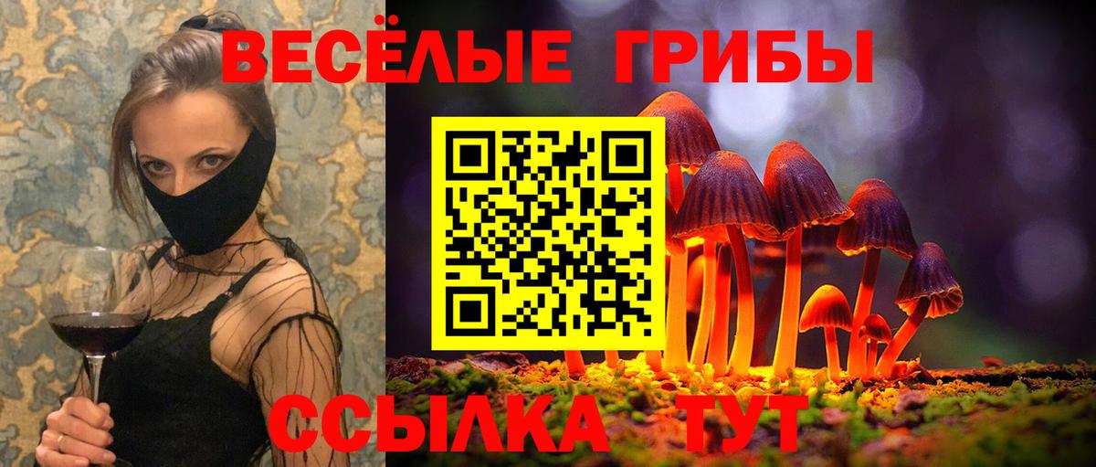 Галлюциногенные грибы прущие грибы Ейск